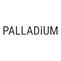 Palladium Concept Image